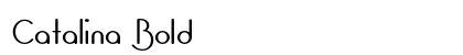 Catalina Bold preview