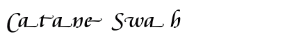 Cataneo Swash Preview