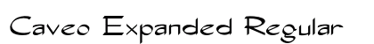 Caveo Expanded Regular preview