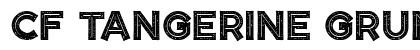 CF Tangerine Grunge Regular preview