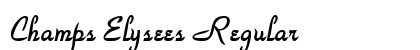 Champs Elysees Regular preview