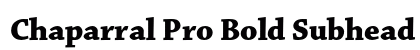 Chaparral Pro Bold Subhead Preview