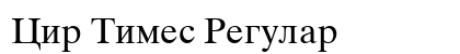 Cir Times Regular preview