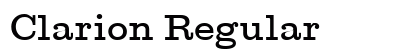 Clarion Regular preview
