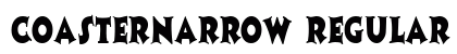 CoasterNarrow Regular preview