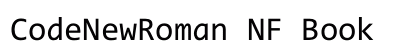 CodeNewRoman NF Book preview