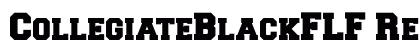 CollegiateBlackFLF Regular preview