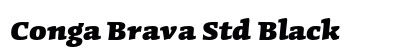 Conga Brava Std Black preview