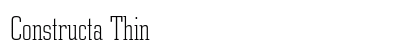 Constructa Thin Preview