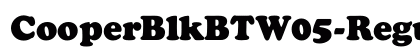 CooperBlkBTW05-Regular Regular preview