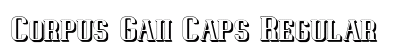 Corpus Gaii Caps Regular preview