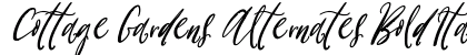Cottage Gardens Alternates Bold Italic Preview