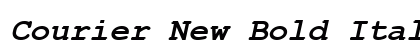 Courier New Bold Italic Preview