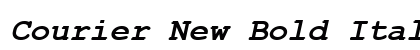 Courier New Bold Italic Preview