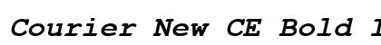 Courier New CE Bold Italic Preview