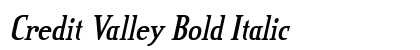 Credit Valley Bold Italic Preview