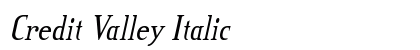 Credit Valley Italic preview
