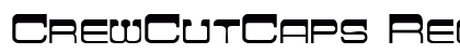 CrewCutCaps Regular Preview