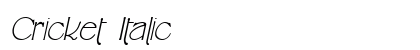 Cricket Italic preview