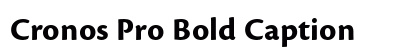 Cronos Pro Bold Caption preview