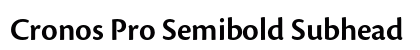 Cronos Pro Semibold Subhead Preview
