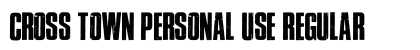 Cross Town Personal Use Regular preview