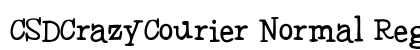 CSDCrazyCourier-Normal Regular preview