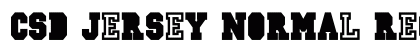 CSD-JERSEY-Normal Regular preview