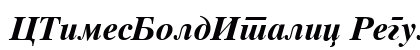 CTimesBoldItalic Regular preview
