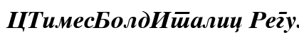 CTimesBoldItalic Regular preview