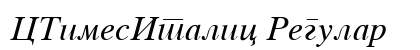 CTimesItalic Regular preview