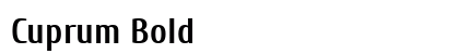 Cuprum Bold Preview