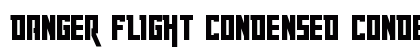 Danger Flight Condensed Condensed preview
