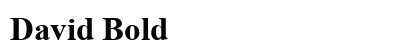 David Bold preview