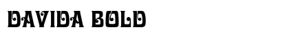 Davida Bold preview