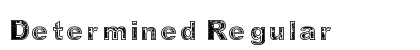 Determined Regular preview