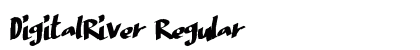 DigitalRiver Regular preview