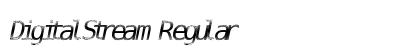 DigitalStream Regular preview