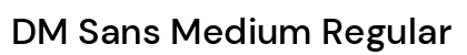 DM Sans Medium Regular preview