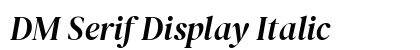 DM Serif Display Italic Preview