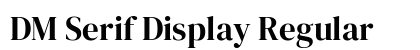 DM Serif Display Regular preview
