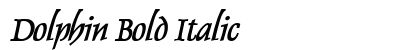 Dolphin Bold Italic Preview