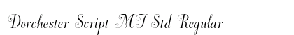 Dorchester Script MT Std Regular preview