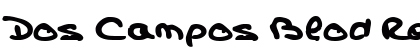 Dos Campos Blod Regular preview