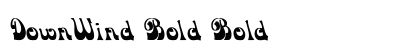 DownWind Bold Bold preview