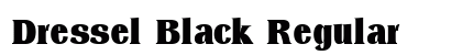 Dressel Black Regular preview