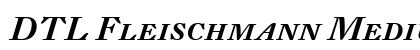 DTL Fleischmann Medium Italic Preview