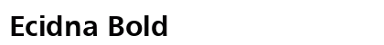 Ecidna Bold preview
