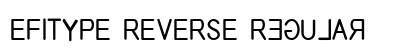 EFITYPE REVERSE Regular preview