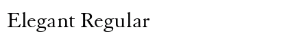 Elegant Regular preview
